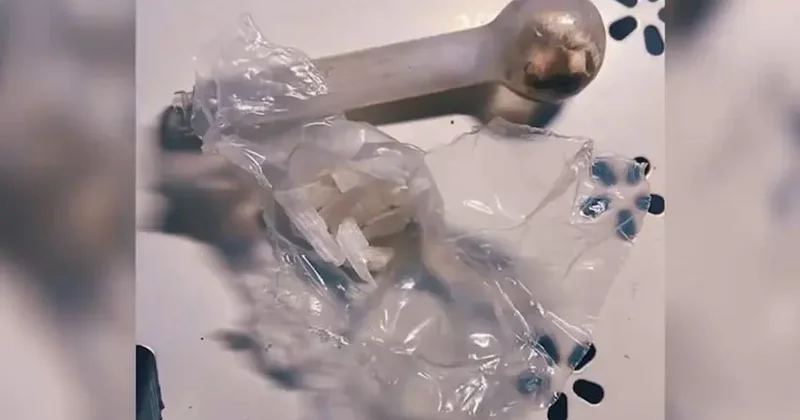 İspaniyadakı kokain əməliyyatından sonra Türkiyə də hərəkətə keçib