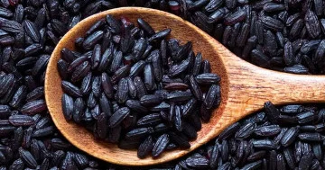 Aydın düşüncə və yaxşı yaddaş üçün nə yeyə bilərəm?