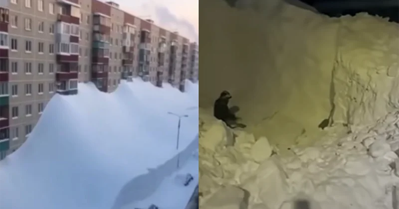 Son 30 ilin ən güclü qarı Binaların 4 cü mərtəbəsinə çatdı+Video