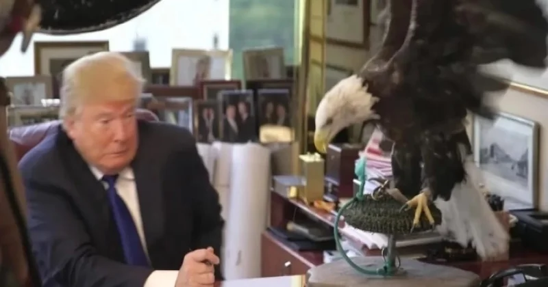 Putinlə Trampın görüntüsü gündəm oldu