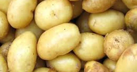 Azərbaycana Suriyadan kiloqramı 1 manat 7 qəpiyə 1 266 ton kartof idxal olunub