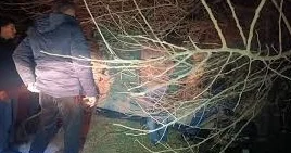 Şəkidə qəza oldu, yaralanan var