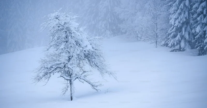 FAKTİKİ HAVA: Bəzi yerlərdə sulu qar, qar yağır