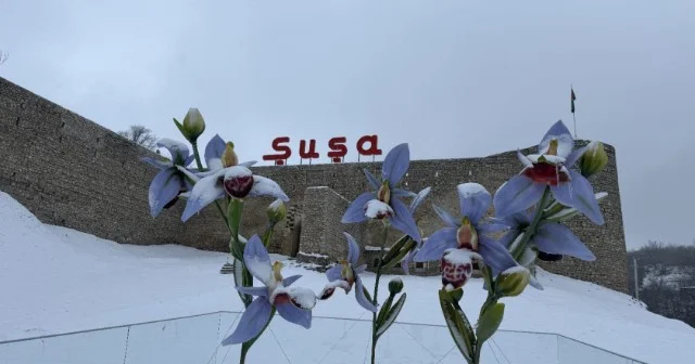 Şuşa bu gün... FOTOLAR