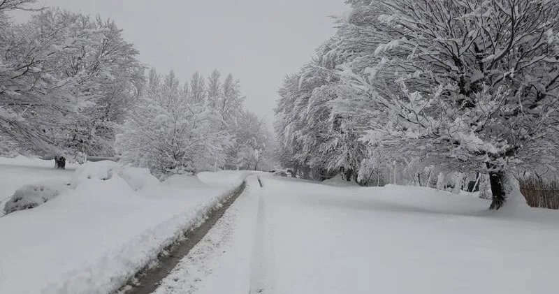 FAKTİKİ HAVA Dağlıq ərazilərdə 12 dərəcəyədək şaxta var