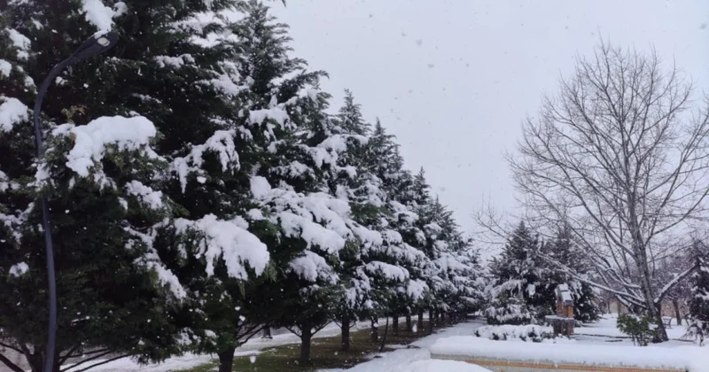 Северный регион: Высота снежного покрова 16 см, температура воздуха минус 11 градусов