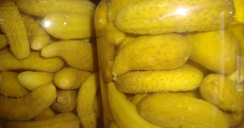 Turşu yeməyin xərçəngə qarşı FAYDALARI