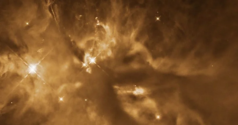 Orionun sirri: Kosmik ulduz inkubatoru