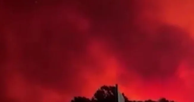 Лесные пожары охватили Чили, число жертв растет ВИДЕО