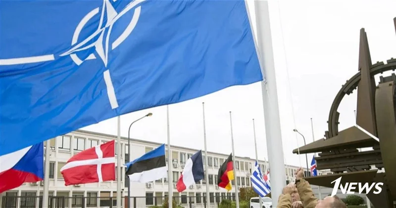 Восемь стран НАТО приняли совместное заявления относительно угроз США по пошлинам