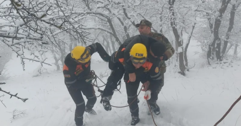 Спасатели МЧС отработали поиски человека в лесу в экстремальных условиях Minval Politika