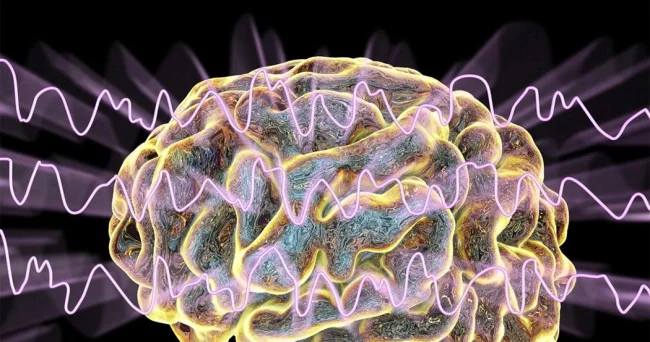 Öz bədənini hiss etmək üçün yeni KƏŞF