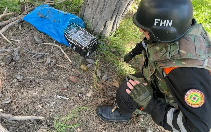 В Баку обнаружены боевые гранаты