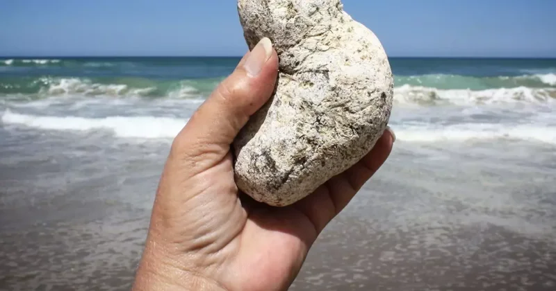 Adi bir daş kimi görünür, sahildə tapan varlanır FOTO