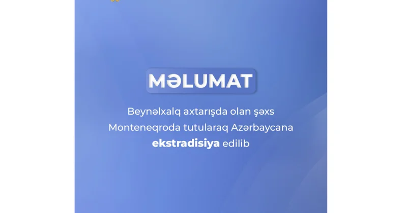 Объявленное в международный розыск лицо задержано в Монтенегро и экстрадировано в Азербайджан