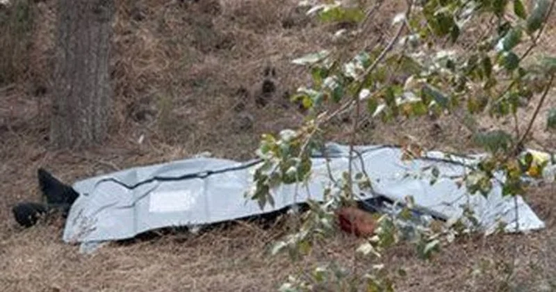 Tut yığmaq üçün ağaca çıxan kişi yıxılaraq öldü