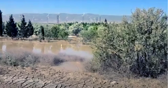 Bakı Quba yolunun kənarındakı ağaclar su altında qalıb; bir aya yaxındır VİDEO