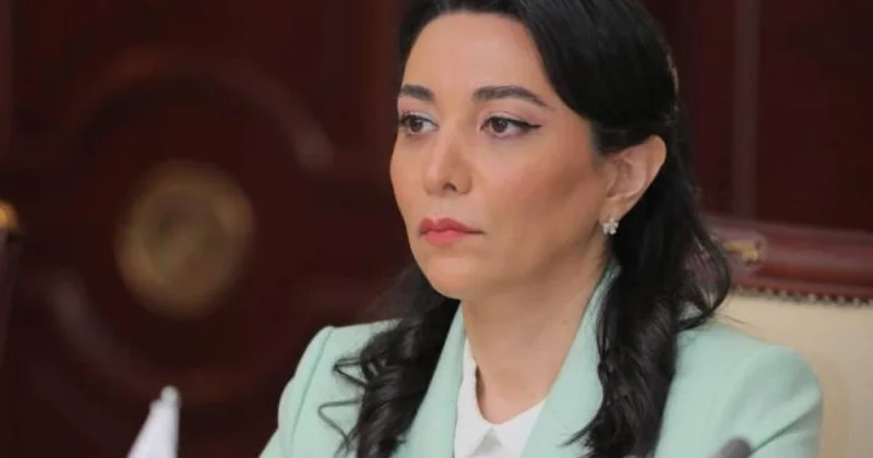 Сабина Алиева: Защита прав и свобод человека одно из приоритетных направлений политики Азербайджана