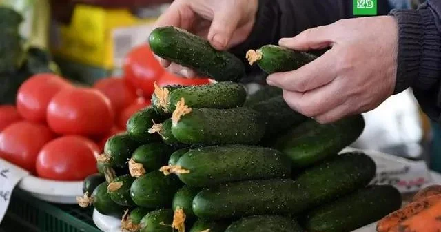 Pomidor və xiyar ucuzlaşdı SƏBƏB?