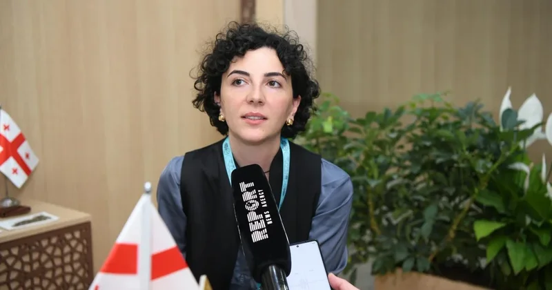 Елена Мачаидзе: В вопросах градостроительства на Кавказе необходим региональный подход ИНТЕРВЬЮ