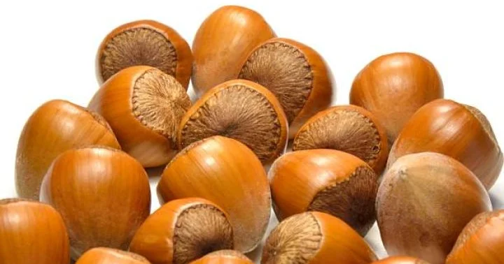 Fındıq ixracından gəlir kəskin artıb