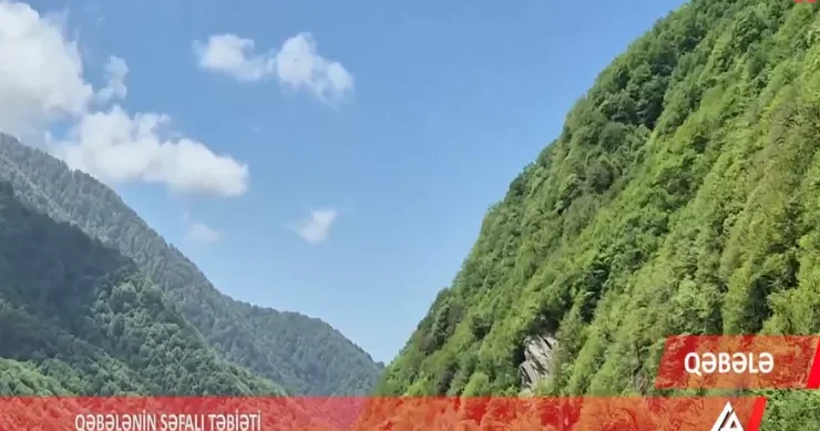 Qəbələni heç belə görməmisiniz VİDEO