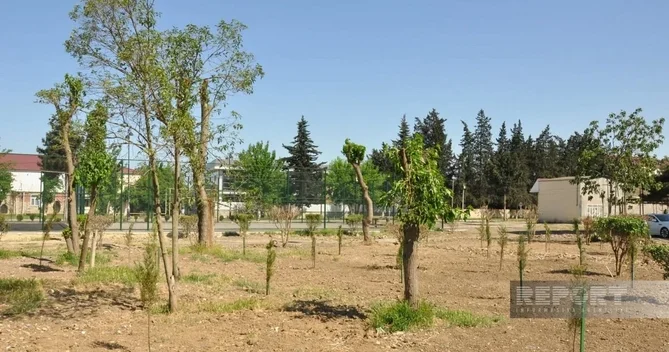 Biləsuvarda yeni park salınıb