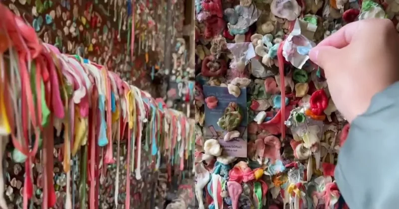 Saqqızdan yaradılan qeyri adi divar turistləri heyrətləndirir
