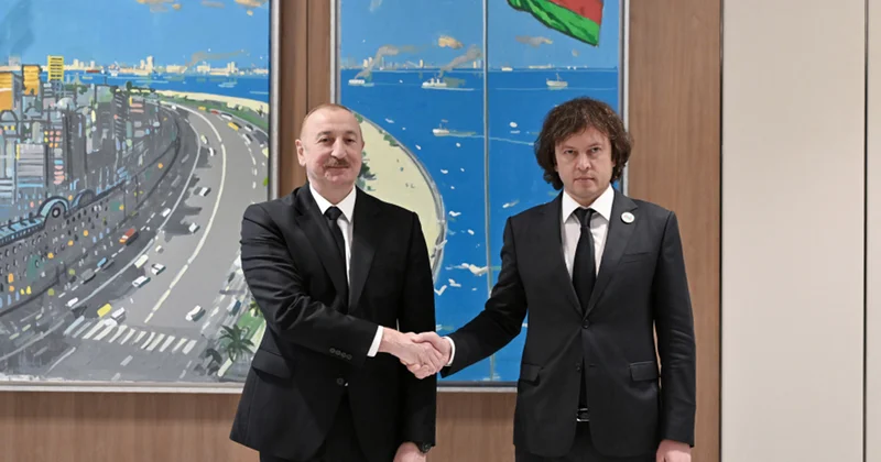 Prezidentlə Kobaxidze görüşdü Fotolar