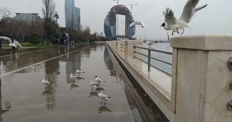 Во вторник в Баку и на Абшероне дождливо, северо западный ветер