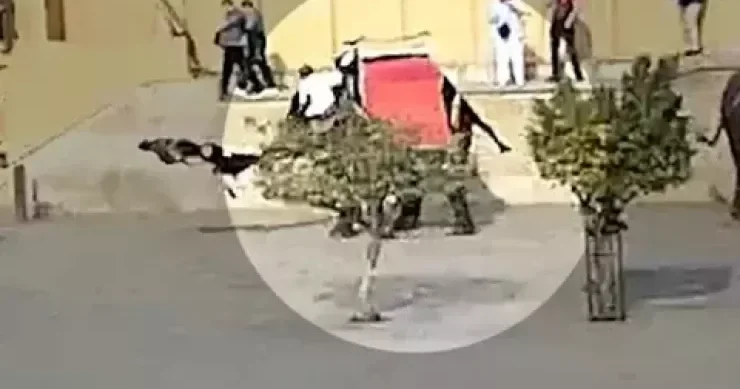 Hindistanda fil turist qadının ölümünə səbəb oldu