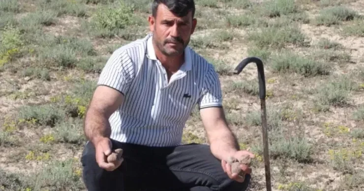 Göbələk yığaraq özünə avtomobil, ev və torpaq aldı
