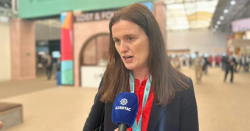 Alis Çarles: Azərbaycanın dayanıqlı şəhər inkişafı istiqamətində rolu getdikcə artır
