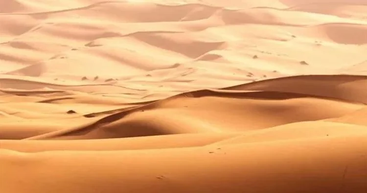 Səhrada 5 gündür itkin düşən şəxs sağ tapıldı