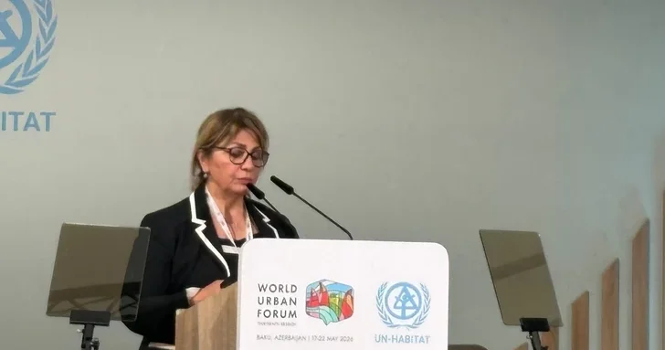 Заместитель национального координатора WUF: Будущее городов должно создаваться совместно всеми