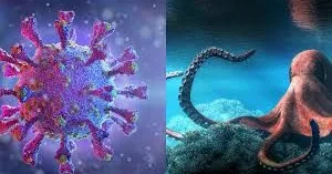 Yayılan qəribə virus Soyuqdəyməyə bənzəyən Kraken