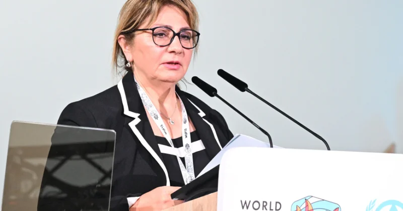 Gülşən Rzayeva: Gender bərabərliyi olmadan dayanıqlı və təhlükəsiz şəhərlər mümkün deyil