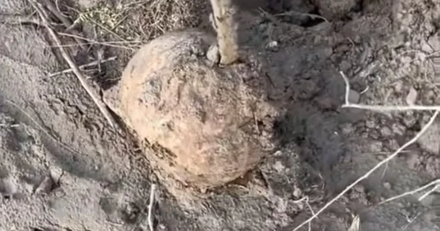Araz çəkildi, insan sümükləri üzə çıxdı VİDEO