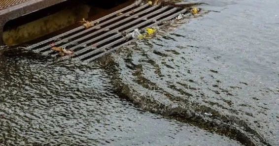 Yağış suları və çirkab suların qarışması yeni ekoloji risklər yaradır EKOLOQ DANIŞDI