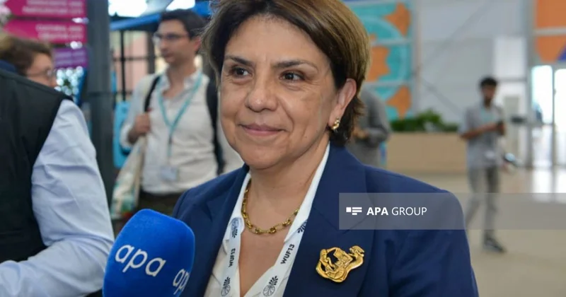 Meksika səfiri: Azərbaycan böyük tədbirlərin təşkilində həmişə çox uğurlu olub, WUF13 də istisna deyil