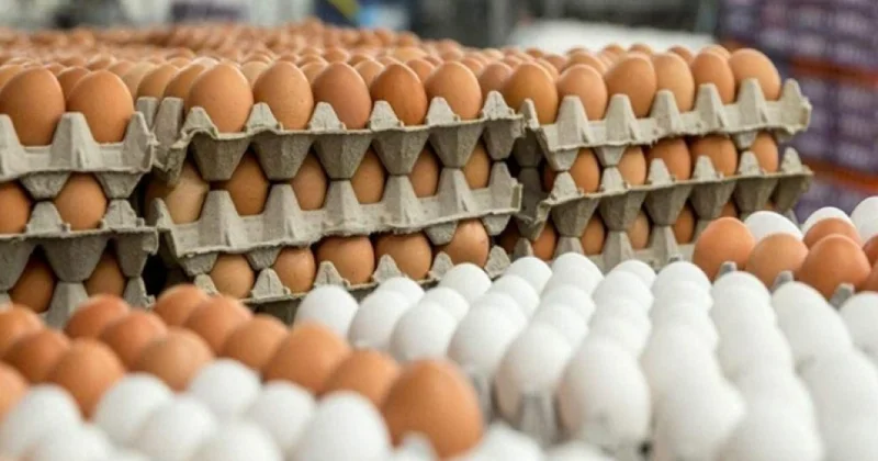 Azərbaycanda yumurta niyə bahalaşır? İqtisadçı səbəbləri açıqladı
