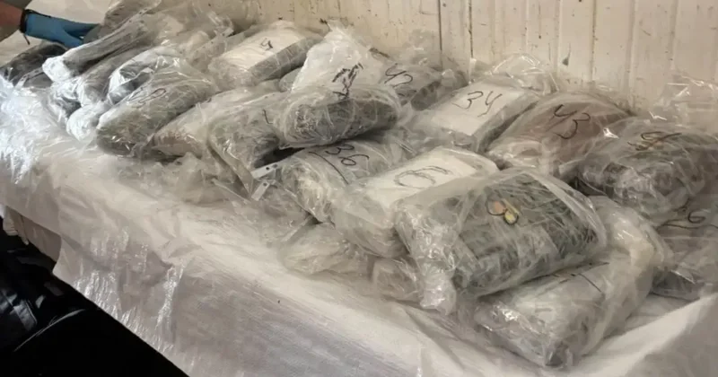 Болгария изъяла почти полсотни килограммов кокаина