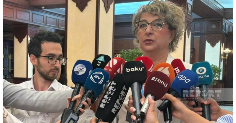 Северная Македония нацелена на расширение сотрудничества с ПА ОЧЭС