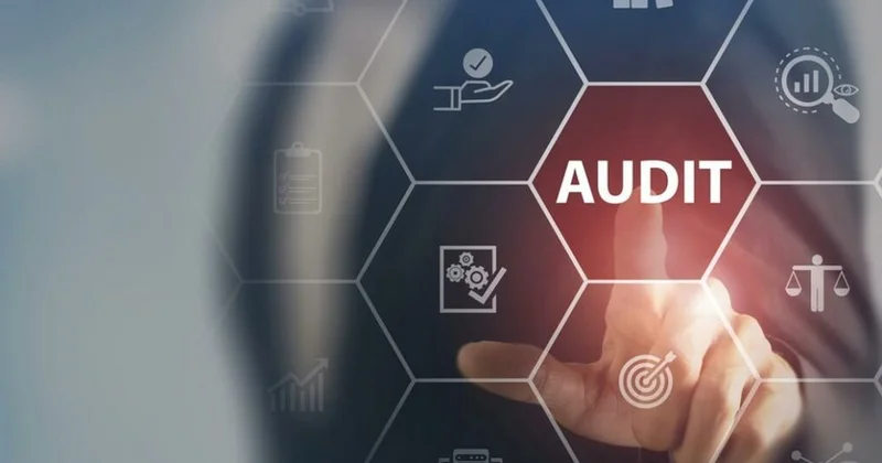 Dövlət Ehtiyatları Agentliyi auditor seçir
