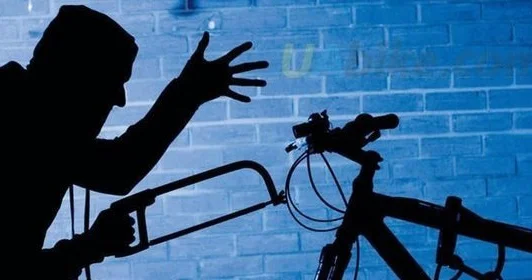 Японец украл более 40 велосипедов, чтобы собрать идеальный