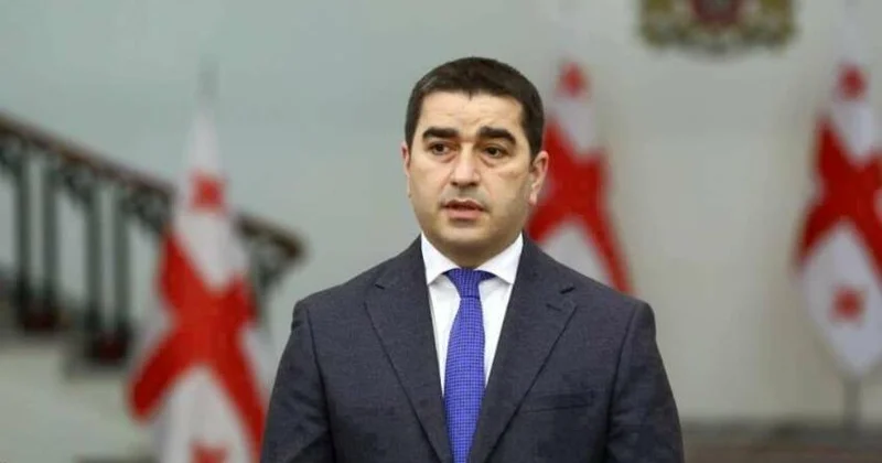 Gürcü spiker: Orta Dəhlizin geosiyasi əhəmiyyəti artır