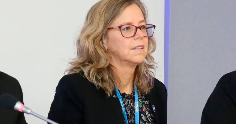 Глава SBI: Тупик на климатической конференции в Бонне был преодолен при содействии председательства Азербайджана