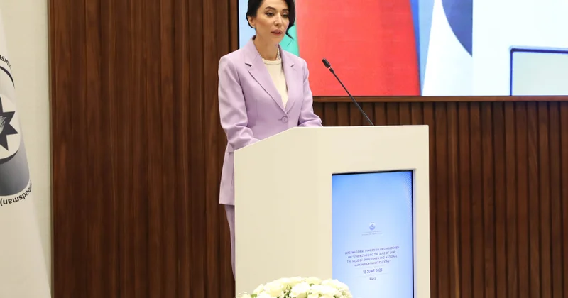 Сабина Алиева: Создание института омбудсмена является проявлением высочайшего значения, придаваемого правам человека в нашей стране