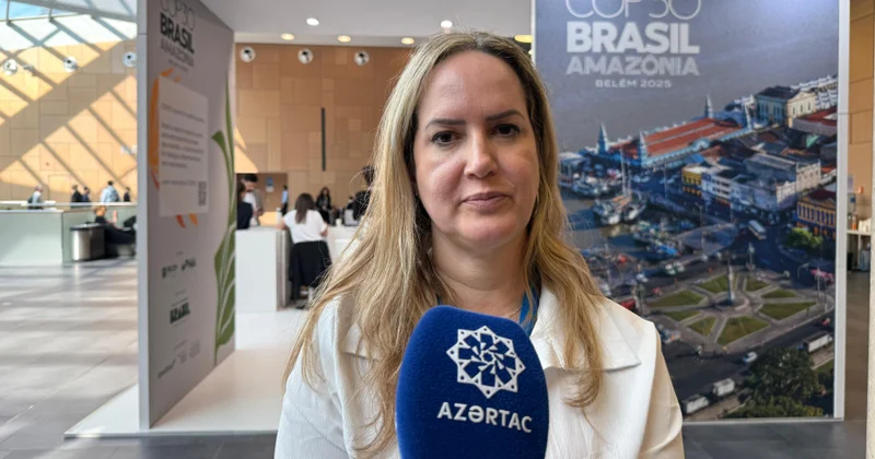 Braziliyalı professor: COP30 a hazırlıq dövründə fəal əməkdaşlığa görə Azərbaycan dövlətinə minnətdarıq