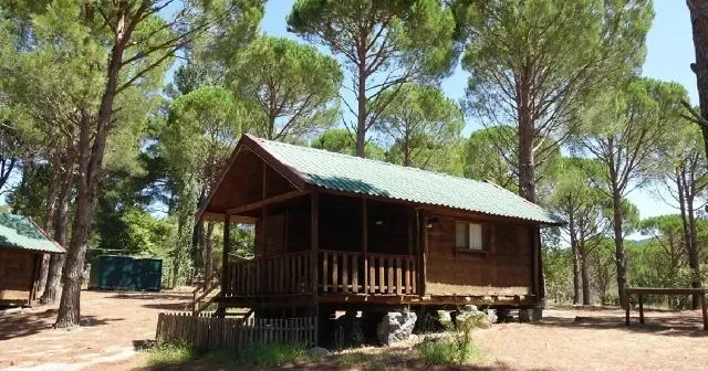 Türkiyədə bungalov fırıldağı əməliyyatında 50 nəfər saxlanıldı